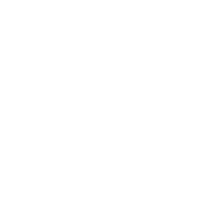 Salpa