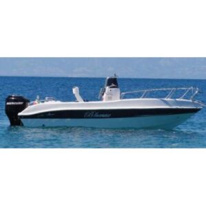 TELO COPRI BARCA BLUMAX 550